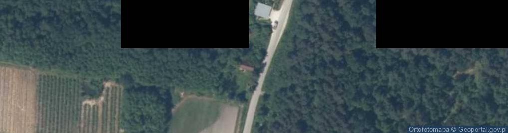 Zdjęcie satelitarne Podlesie ul.