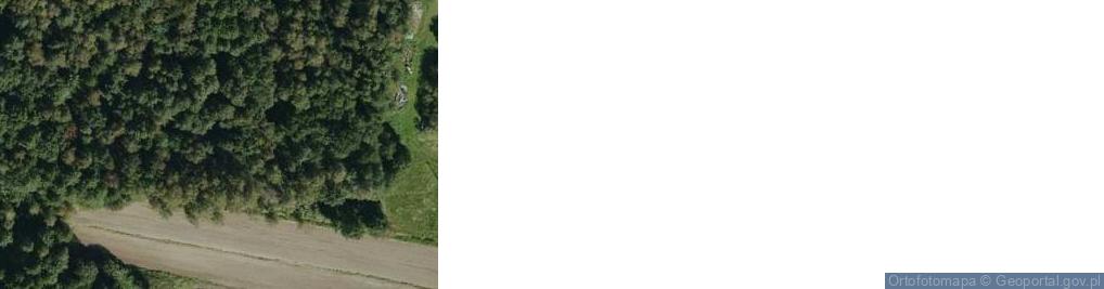 Zdjęcie satelitarne Podlesie ul.