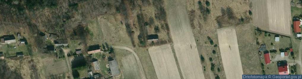 Zdjęcie satelitarne Podlesie ul.