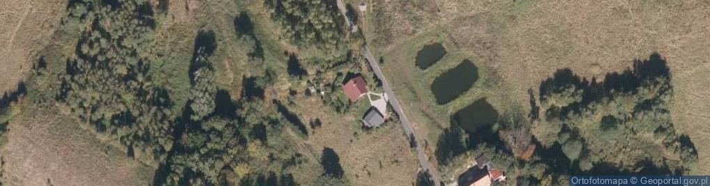 Zdjęcie satelitarne Podlesie ul.