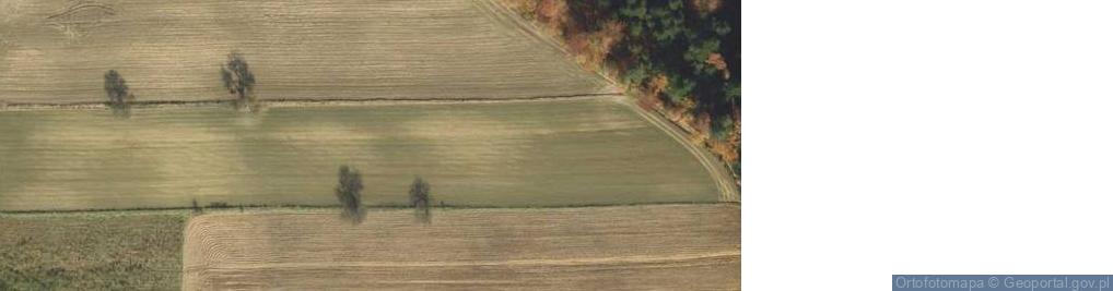 Zdjęcie satelitarne Podole-Górowa ul.