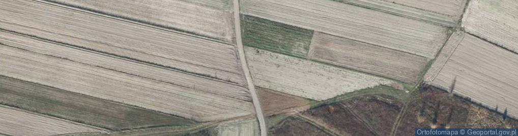 Zdjęcie satelitarne Polna ul.