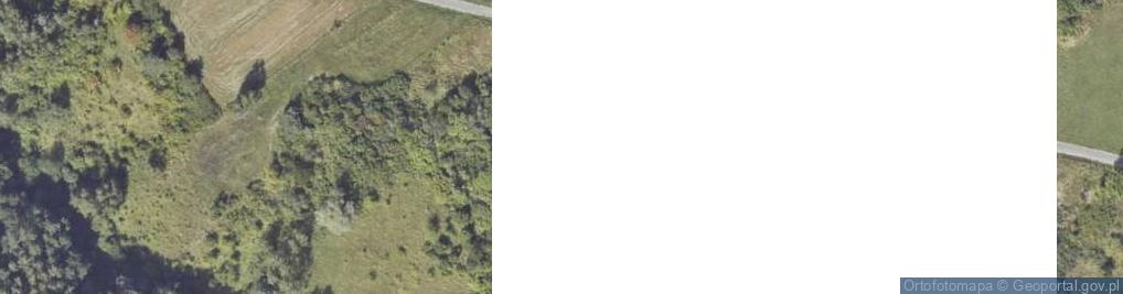 Zdjęcie satelitarne Podszkodzie ul.