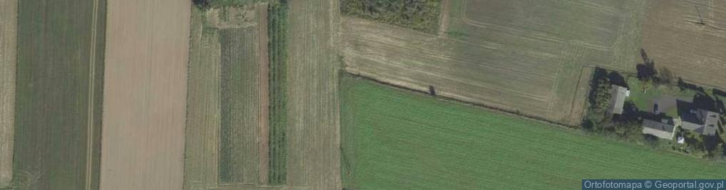 Zdjęcie satelitarne Podzamcze Kolonia ul.