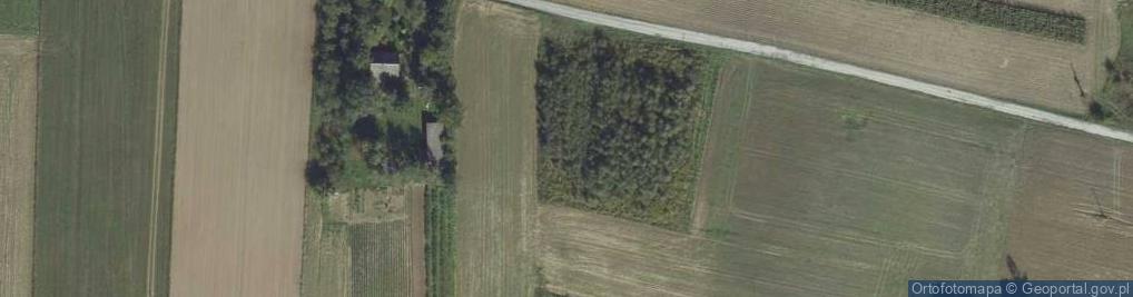 Zdjęcie satelitarne Podzamcze Kolonia ul.