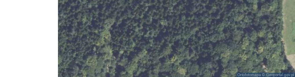 Zdjęcie satelitarne Pogorzany ul.