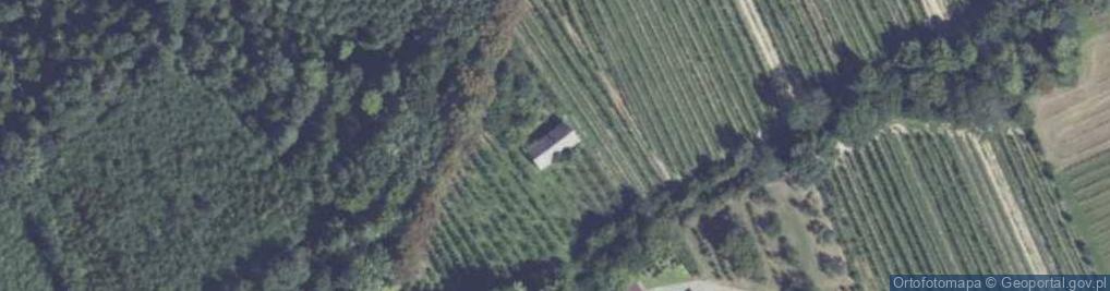Zdjęcie satelitarne Pogorzany ul.