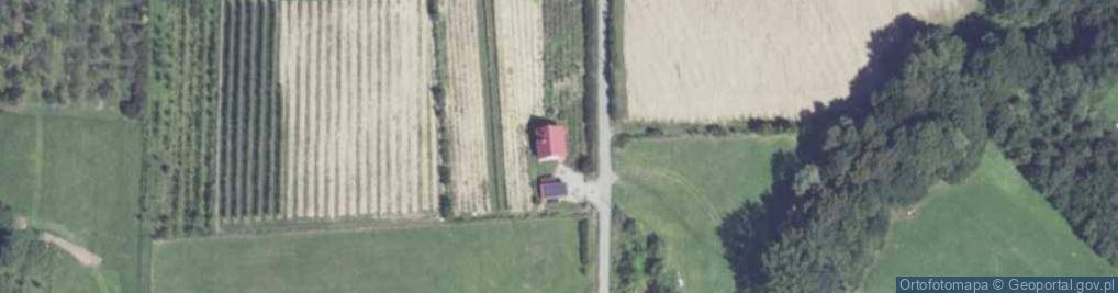 Zdjęcie satelitarne Pogorzany ul.