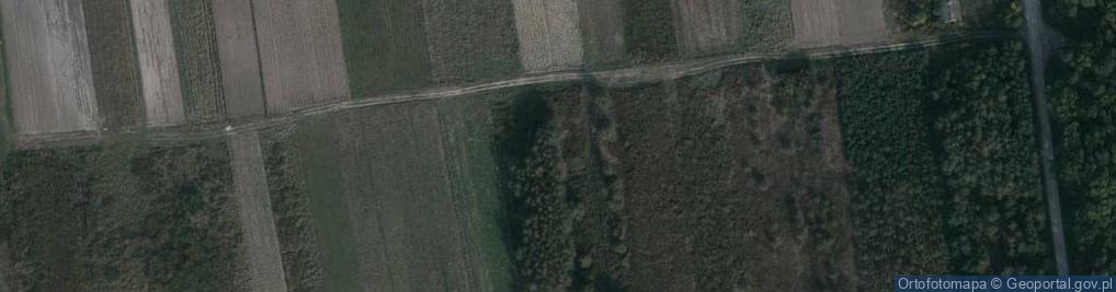 Zdjęcie satelitarne Pogwizdów ul.