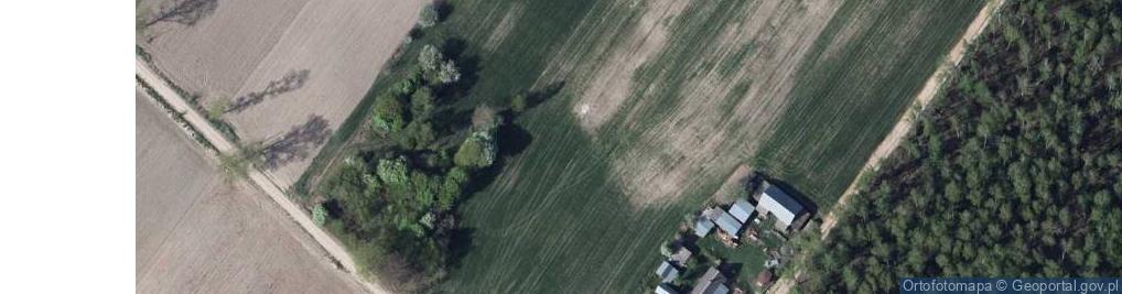 Zdjęcie satelitarne Pojelce ul.