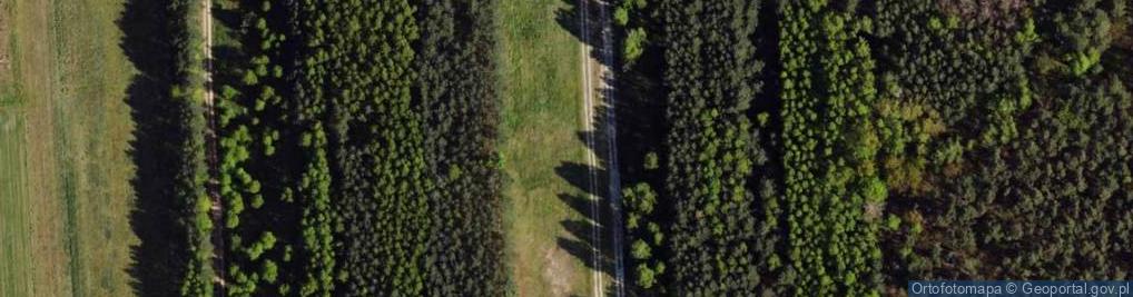 Zdjęcie satelitarne Podleśna ul.