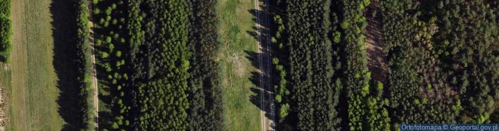 Zdjęcie satelitarne Podleśna ul.