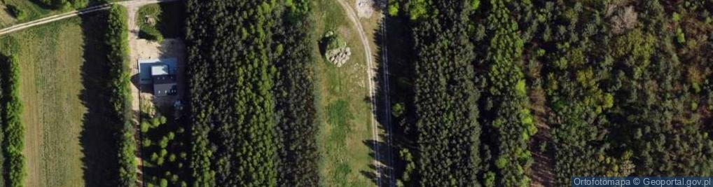 Zdjęcie satelitarne Podleśna ul.