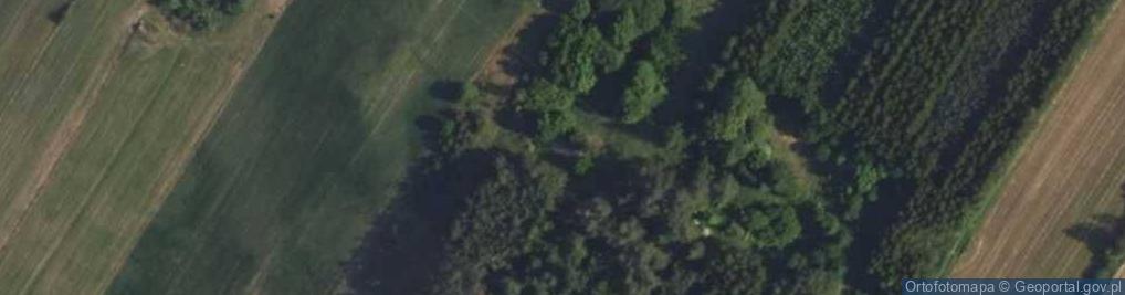 Zdjęcie satelitarne Poniatowicze ul.