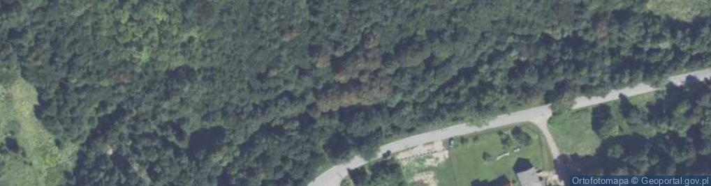 Zdjęcie satelitarne Ponikiew ul.