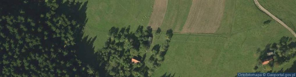 Zdjęcie satelitarne Popowice ul.