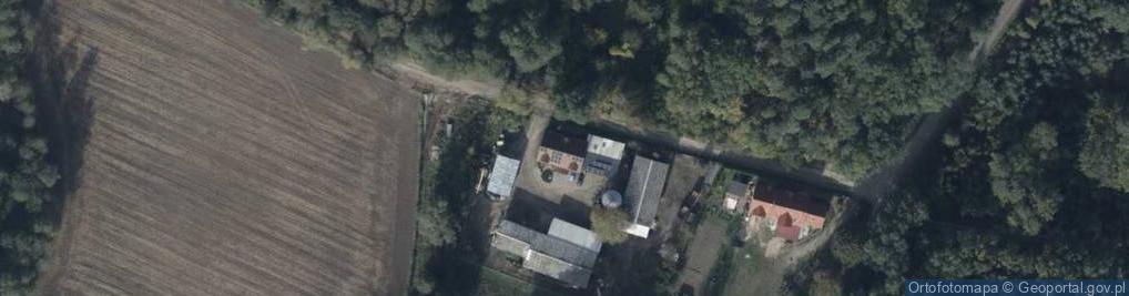 Zdjęcie satelitarne Potuły ul.