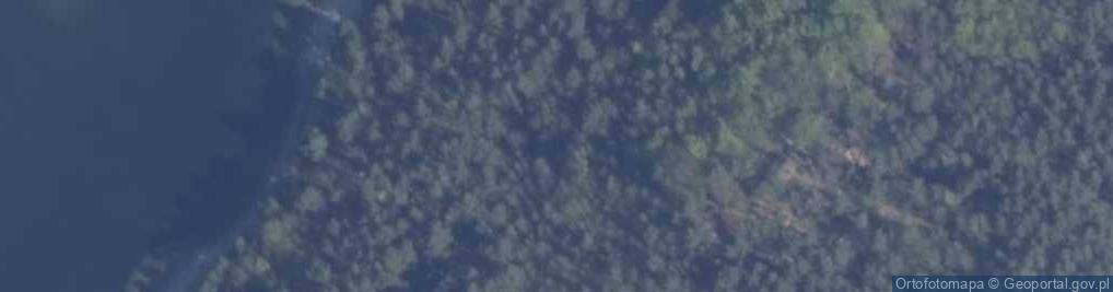 Zdjęcie satelitarne Potuły ul.