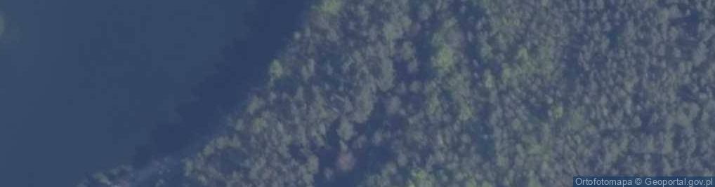 Zdjęcie satelitarne Potuły ul.