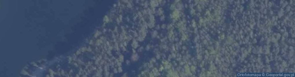 Zdjęcie satelitarne Potuły ul.