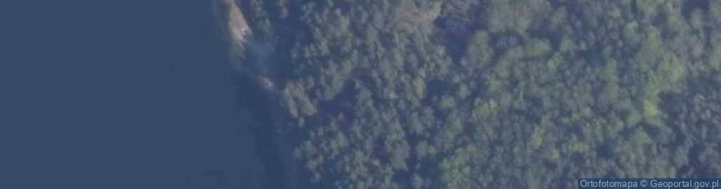 Zdjęcie satelitarne Potuły ul.