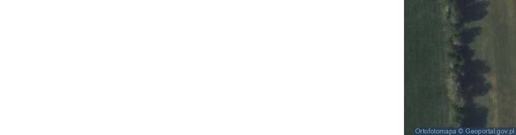 Zdjęcie satelitarne Powielin ul.