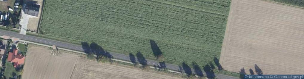 Zdjęcie satelitarne Powstańców Wielkopolskich ul.