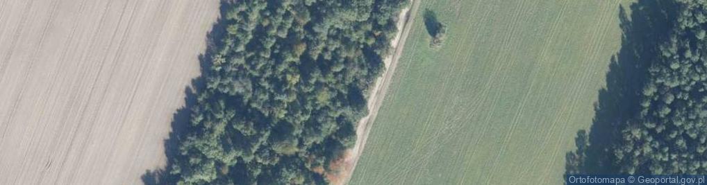 Zdjęcie satelitarne Podleśna ul.