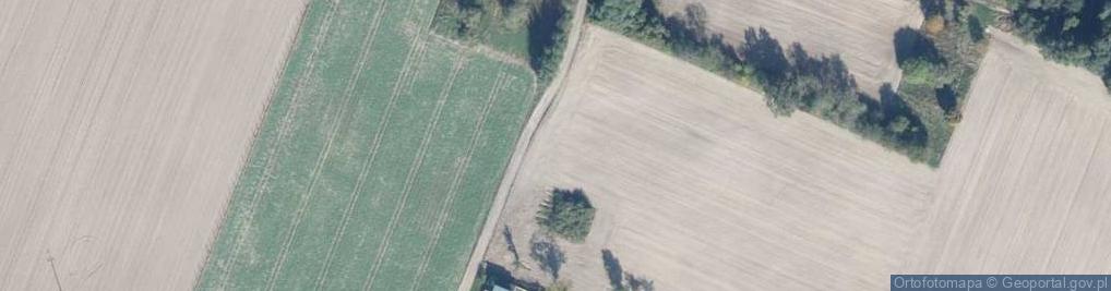 Zdjęcie satelitarne Podleśna ul.