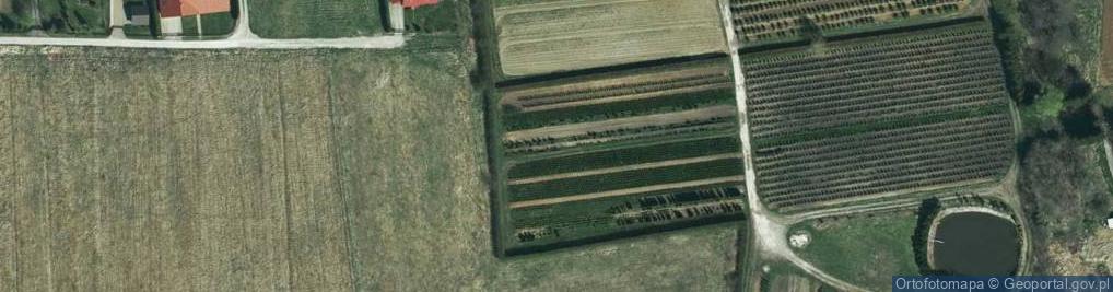 Zdjęcie satelitarne Polna ul.