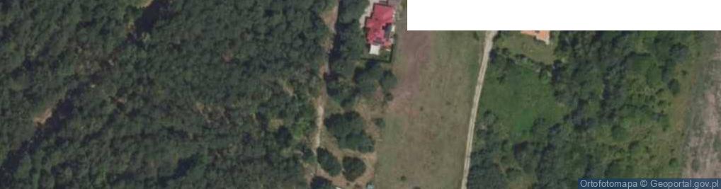 Zdjęcie satelitarne Pod Lasem ul.