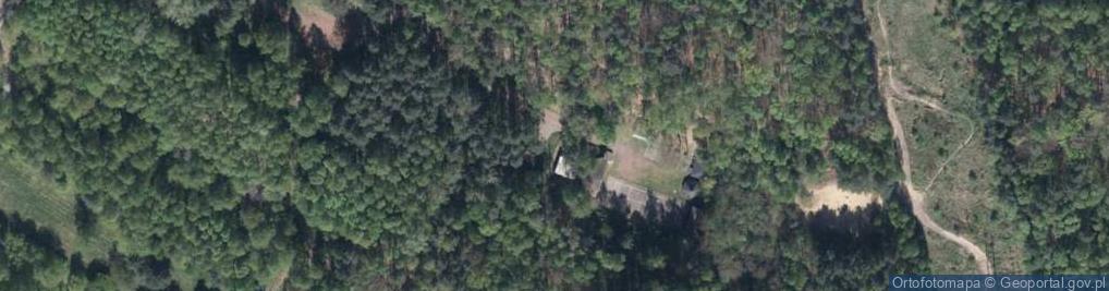 Zdjęcie satelitarne Podgórna ul.