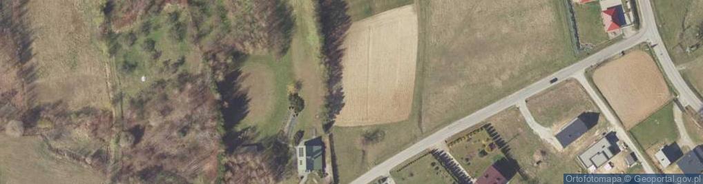 Zdjęcie satelitarne Podleśna ul.