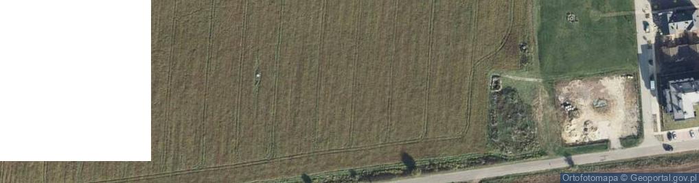 Zdjęcie satelitarne Pod Platanami ul.