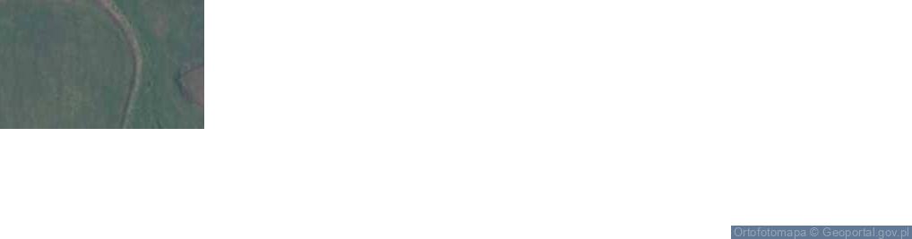 Zdjęcie satelitarne Pożarna ul.