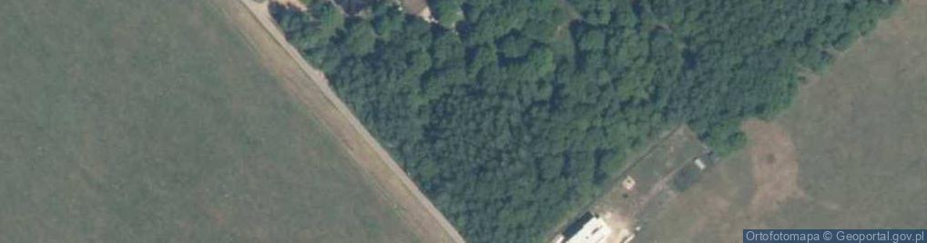 Zdjęcie satelitarne Podwale ul.