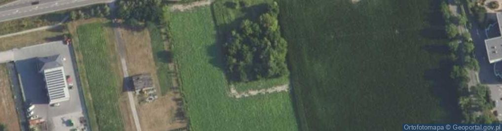 Zdjęcie satelitarne Poznańska ul.