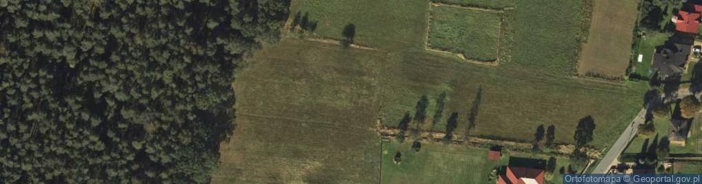 Zdjęcie satelitarne Pod Lasem ul.