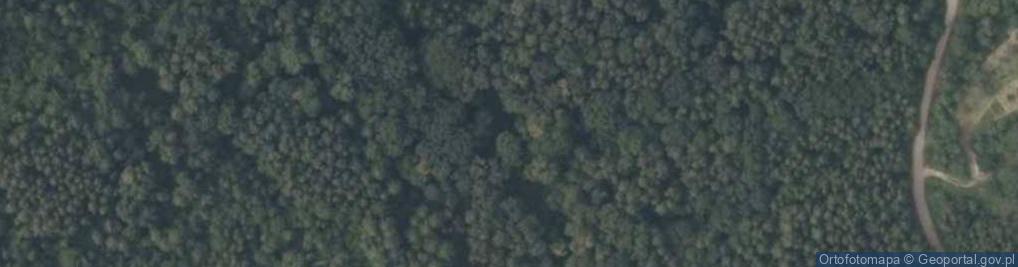 Zdjęcie satelitarne Podgórska ul.