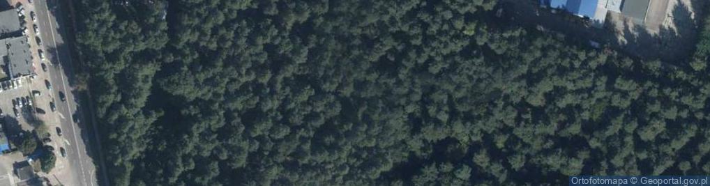 Zdjęcie satelitarne Podleśna ul.