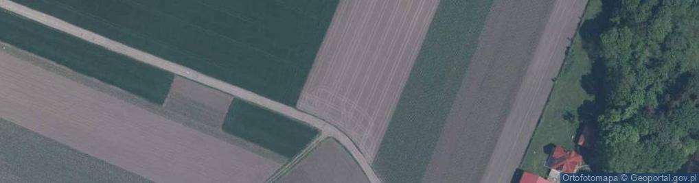 Zdjęcie satelitarne Polna ul.