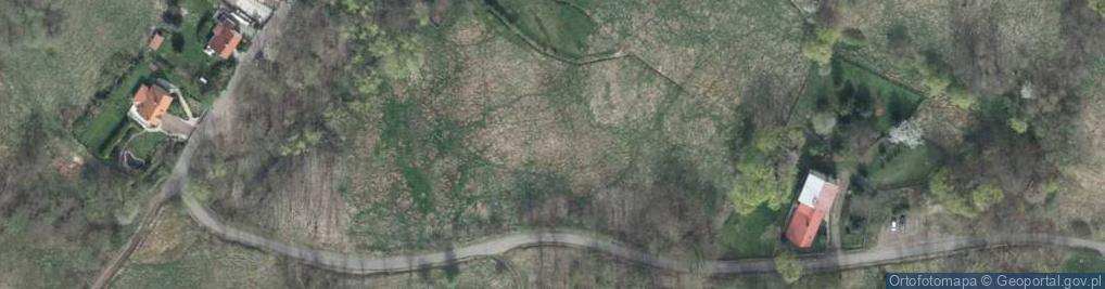 Zdjęcie satelitarne Podgórska ul.