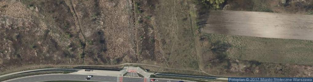 Zdjęcie satelitarne Pod Jesionami ul.