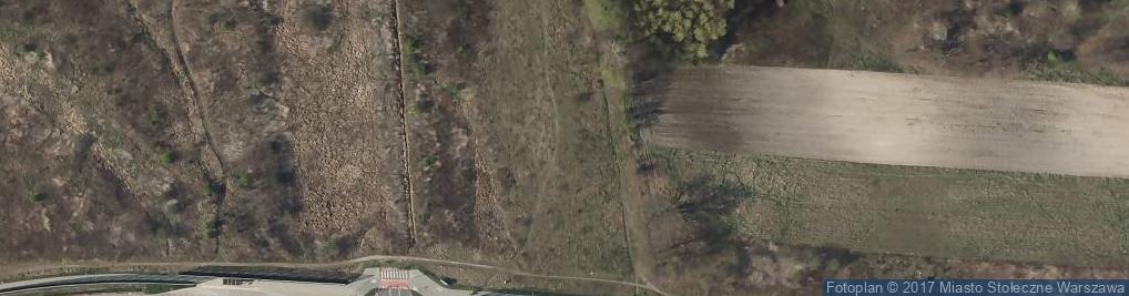 Zdjęcie satelitarne Pod Jesionami ul.