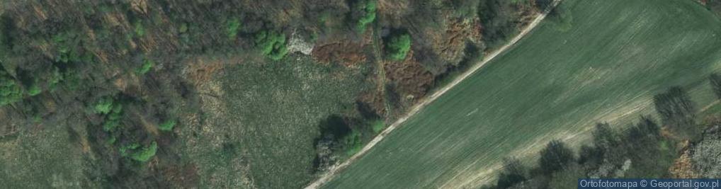 Zdjęcie satelitarne Pod Skałą ul.