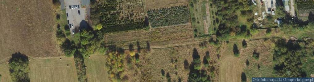 Zdjęcie satelitarne Przemysłowa ul.