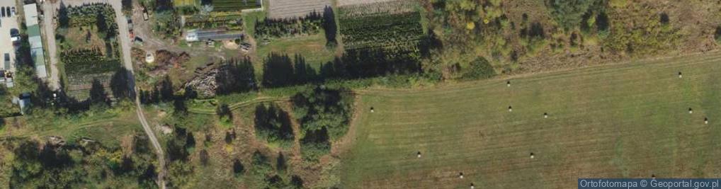 Zdjęcie satelitarne Przemysłowa ul.