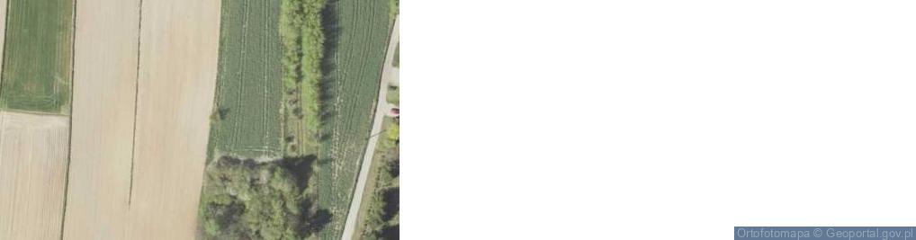 Zdjęcie satelitarne Prosta ul.