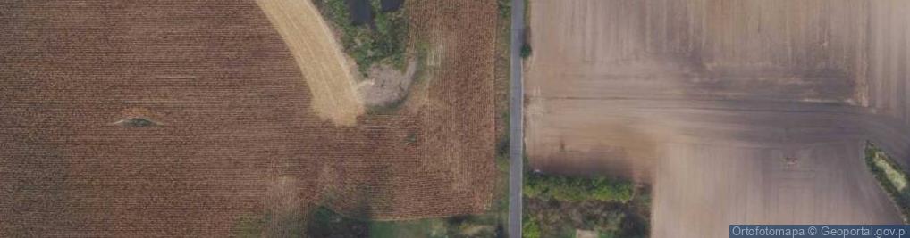 Zdjęcie satelitarne Prosta ul.