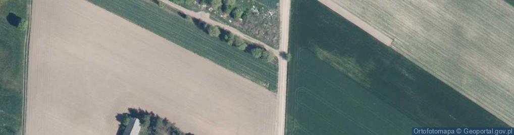 Zdjęcie satelitarne Pruszyńska ul.